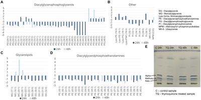 Molecular insight into thymoquinone mechanism of action against Mycobacterium tuberculosis